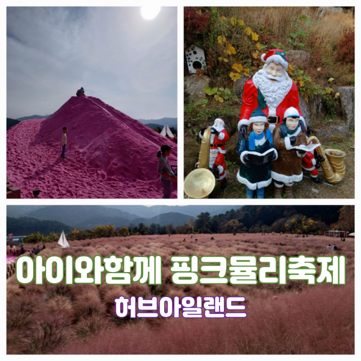 서울근교 갈만한곳 아이와 함께 포천 허브아일랜드 핑크뮬리 축제 주차팁 서울근교 갈만한곳 아이와 함께 포천 허브아일랜드 핑크뮬리 축제 주차팁