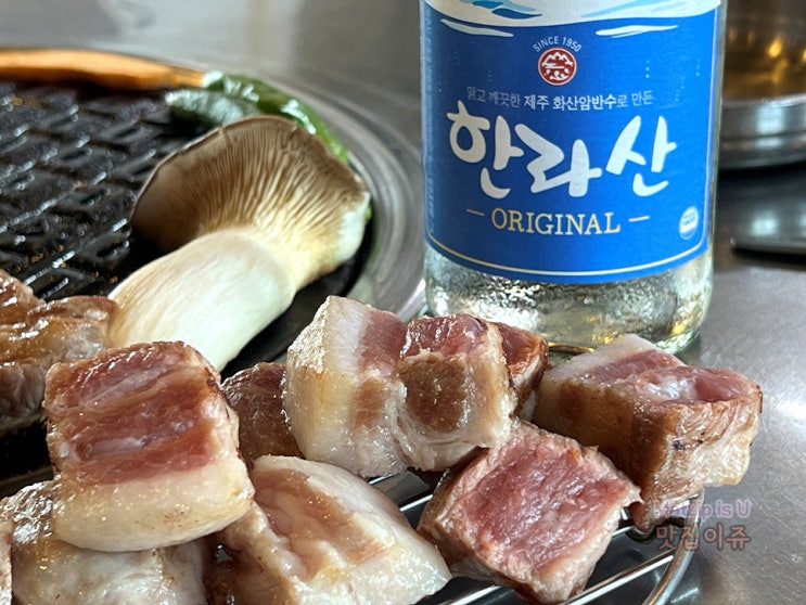  제주 이호테우 흑돼지 현지인맛집 굽써