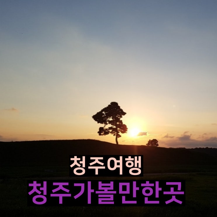  충북 청주가볼만한곳 및 청주근교 가볼만한곳 괴산 문광저수지 진천 보탑사