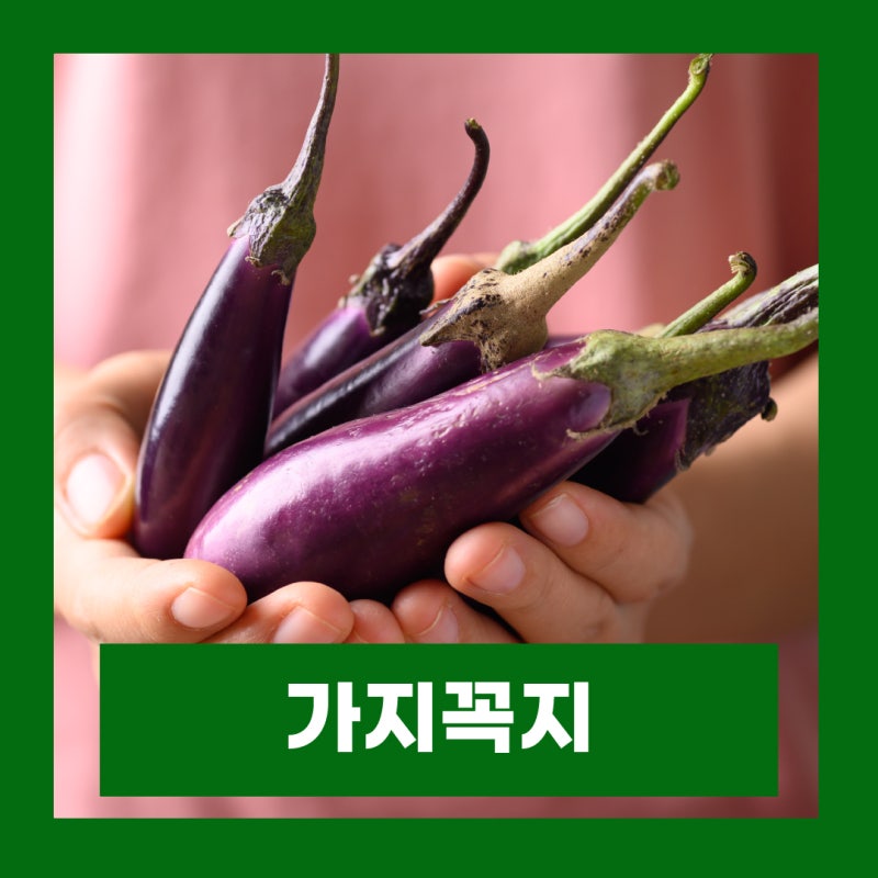 가지꼭지 효능 부작용 가지꼭지차 만드는법
