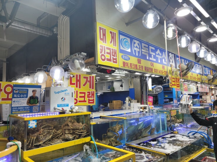 안산 농수산물도매시장 독도수산(한대앞역) 안산 농수산물도매시장 독도수산(한대앞역)