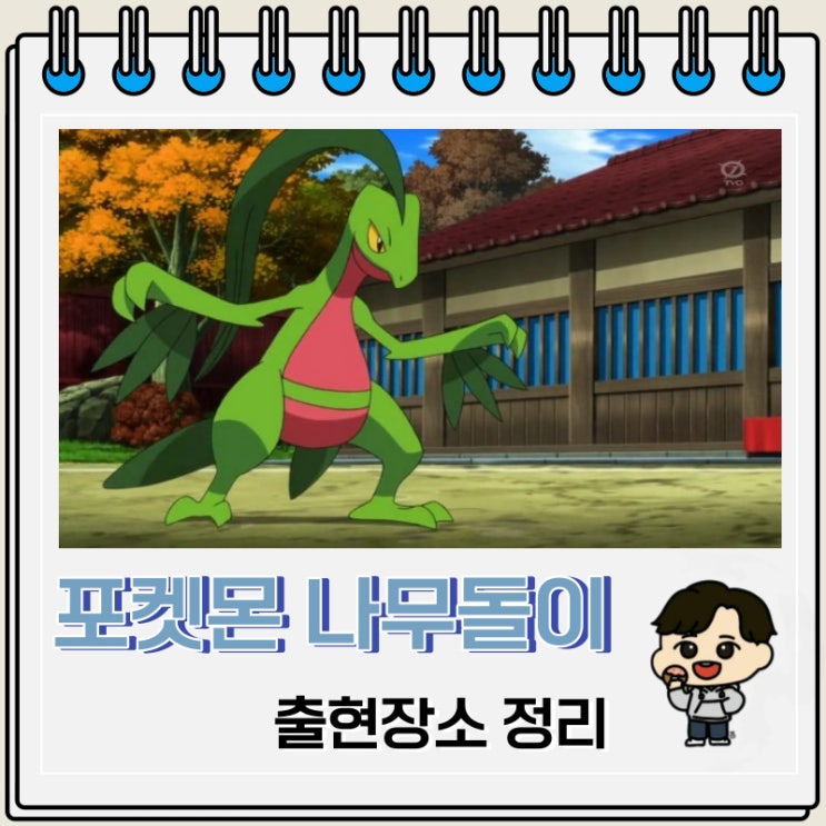 포켓몬스터 나무돌이 출현장소 정보