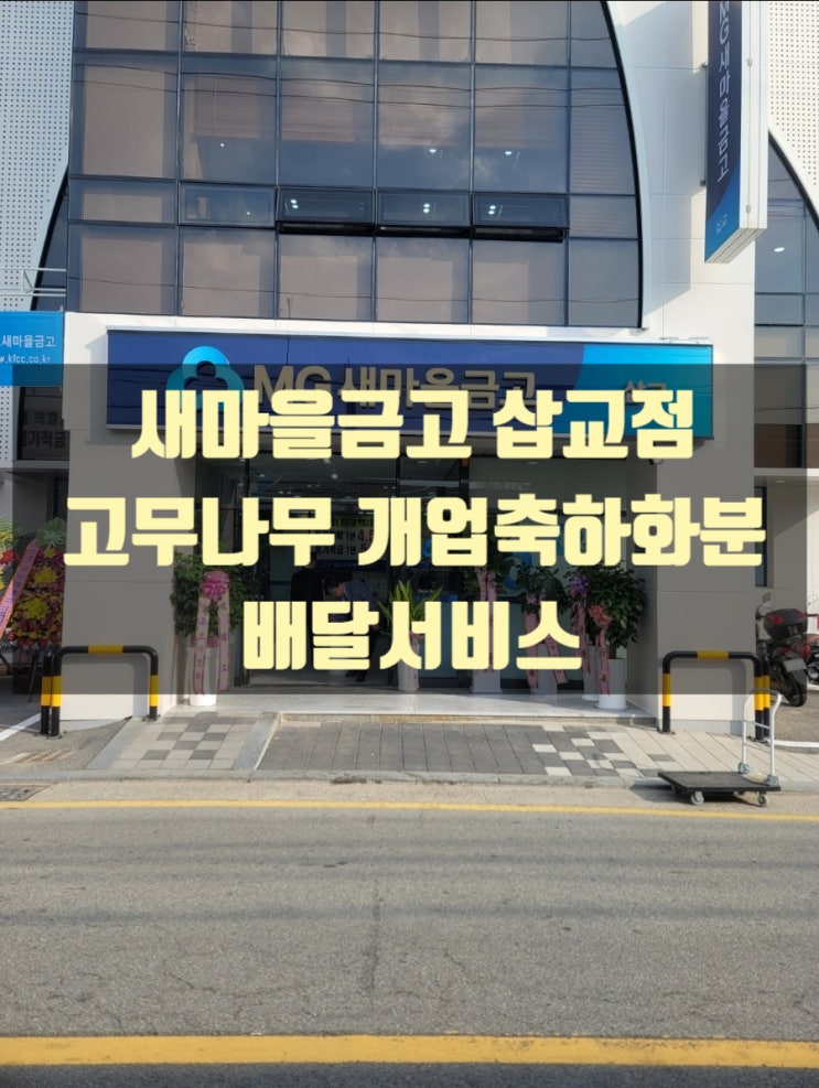  새마을금고 삽교점 떡갈고무나무 개업축하화분 배달했습니다.