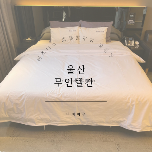 무인텔칸 사진 1