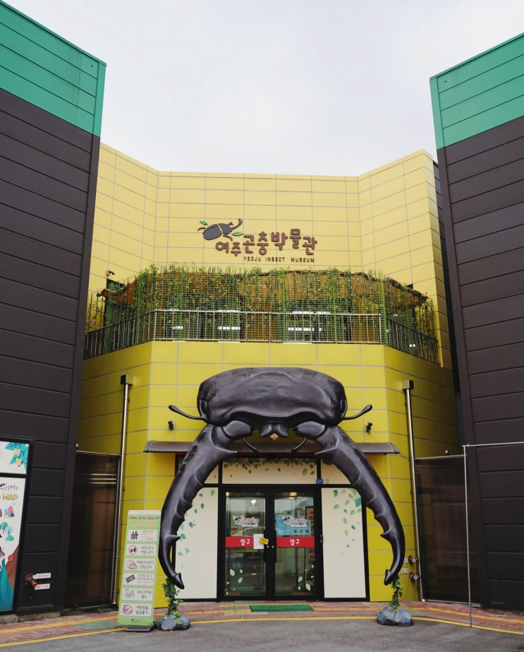 여주 아이와 가볼만한곳 추천 실내 여주곤충박물관 여주 남한강 황포돛배 체험