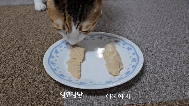  내돈내산 : 테비토퍼(Tabby topper) 아리아리 반려동물 닭가슴살 22g 고양이 닭가슴살 강아지 닭가슴살 대용량 닭가슴살