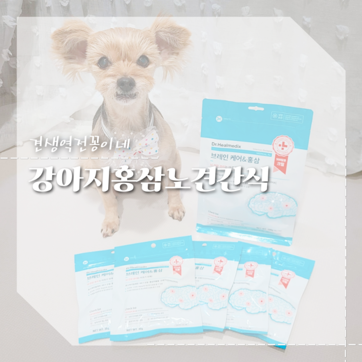  노견간식 추천 강아지치매예방 홍삼 애견간식