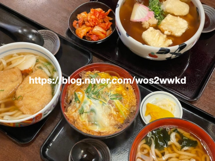  오사카 현지인맛집 신사이바시맛집 가레우동 야나기안