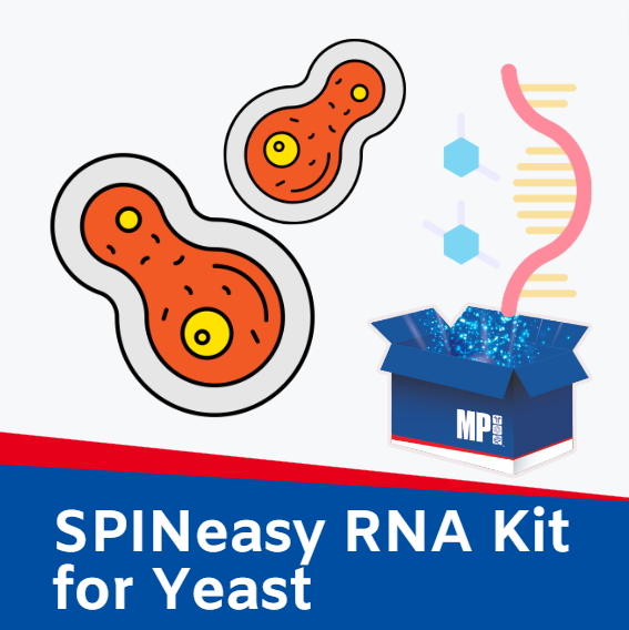 Yeast RNA Kit : SPINeasy DNA Kit for Yeast