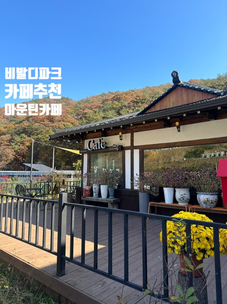  비발디파크카페 마운틴카페 아늑하고 편안한 곳