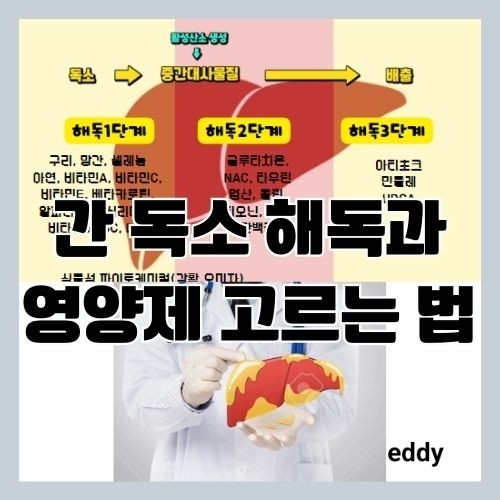  간에 좋은 영양제 고르는 법 [원리부터 알고 먹자] - 밀크씨슬과 우루사로 될까?