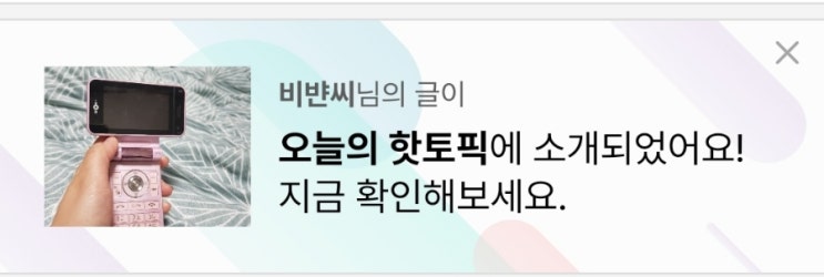  2023년 11월 일상 (2) 네이버 핫토픽 선정! 감사합니다.