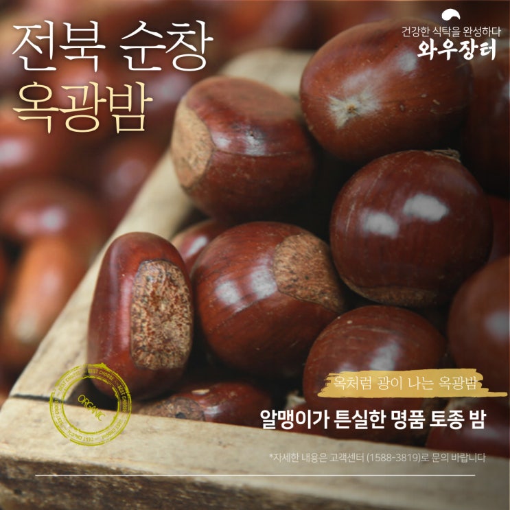  순창옥광밤 알맹이가 튼실한 명품 토종 밤
