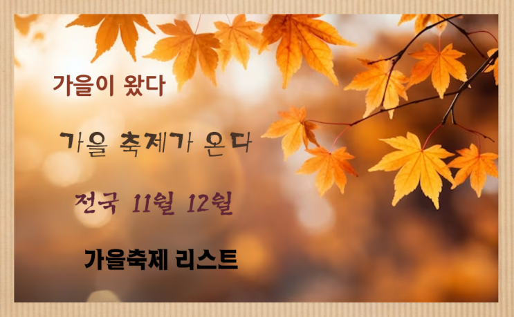 전국 가을 축제 리스트 !  국내 11월축제/12월축제