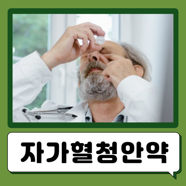  라식 라섹 자가혈청안약 효과 사용법