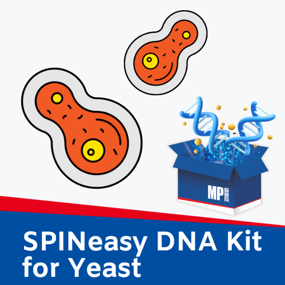 Yeast에서 DNA 추출 : SPINeasy DNA Kit for Yeast