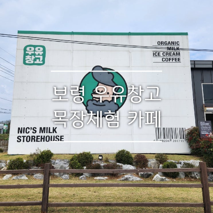 (대천여행) 충남 보령 아이와 가볼만 한 곳 우유창고 목장체험 카페