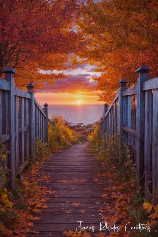   오늘의 생활정보 (2023-11-08, 수)