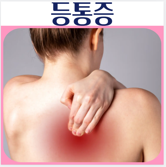  등 통증 원인 등아플때 디스크 알아보기