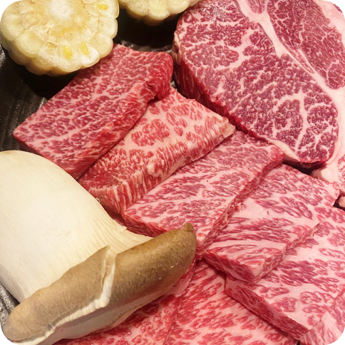 강남역 소고기 진씨화로 강남역 본점에서 드세요! 강남역 소고기 진씨화로 강남역 본점에서 드세요!
