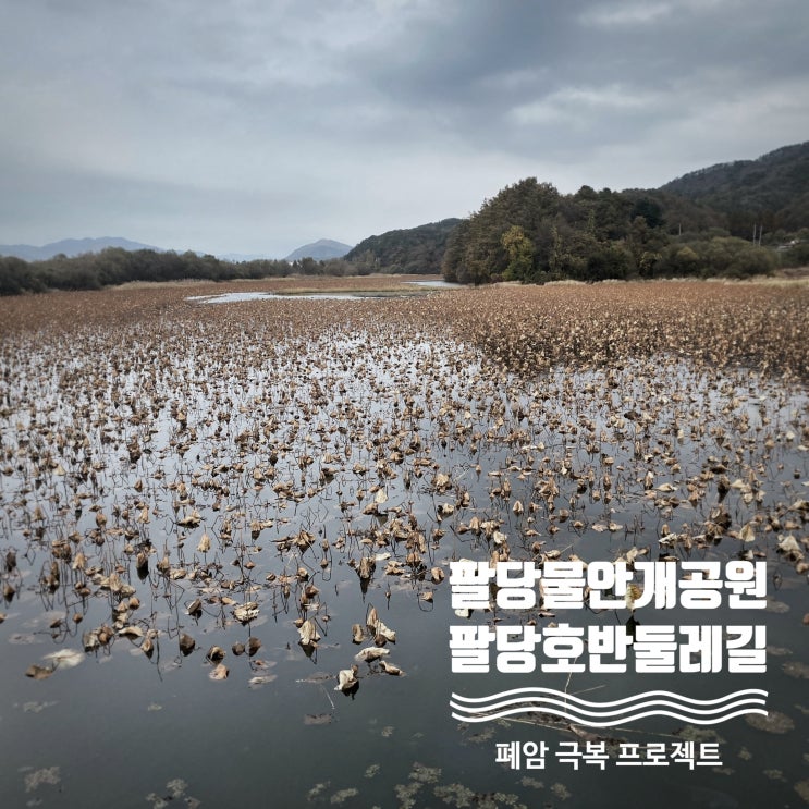  팔당물안개공원에서 시작하는 팔당호반둘레길 1,2코스 - 곤지암 한달살기 4일차