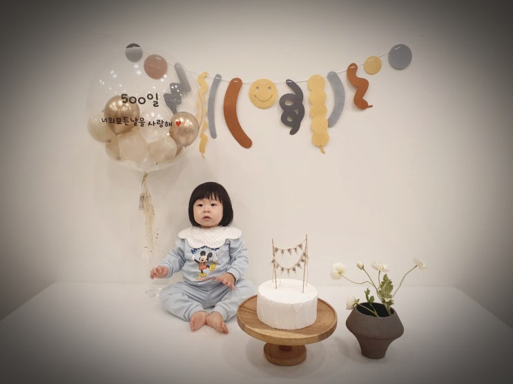  16개월 아기 성장발달 기록 (~520일) : 걸음이 느린 아이