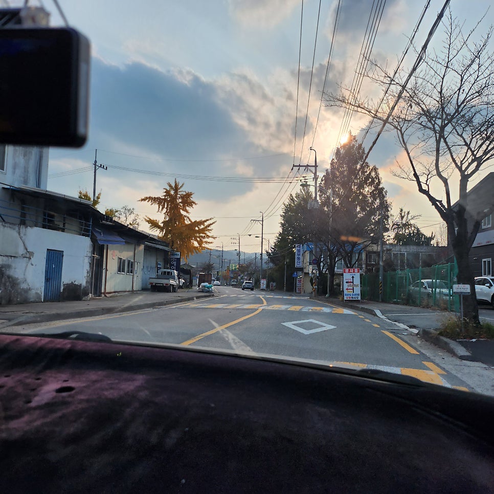 금동산캠핑 사진 1