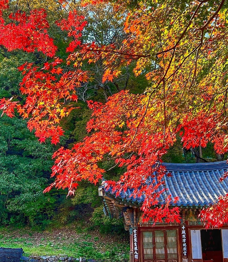 미식정순두부 마곡사점 사진 1