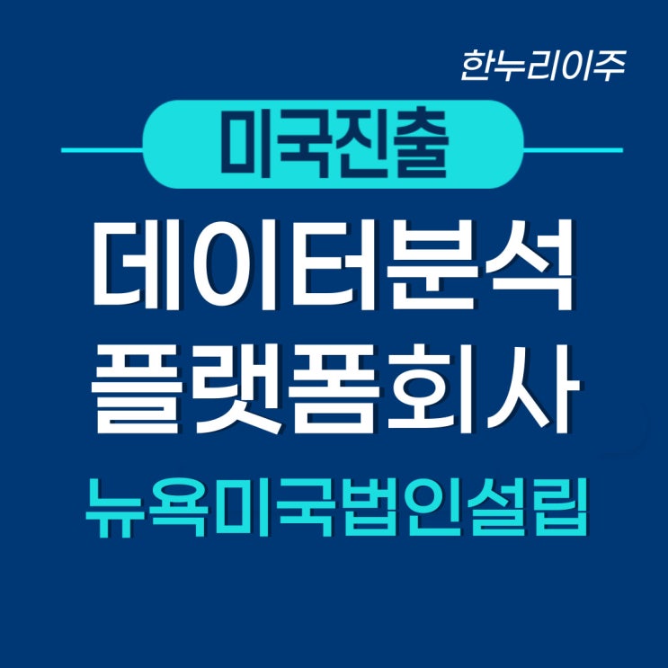  데이터 분석 플랫폼 - 뉴욕 주 미국법인설립