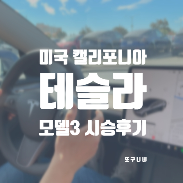 테슬라 모델3 미국 캘리포니아 시승 후기 (차량 내부 실내 트렁크 사진)