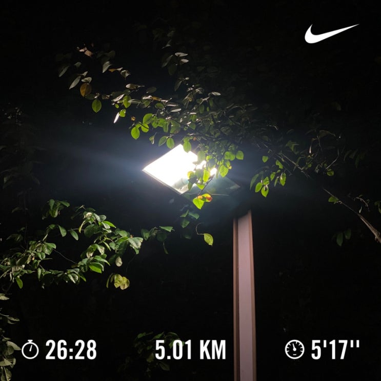  러닝로그_231107 잡스런
