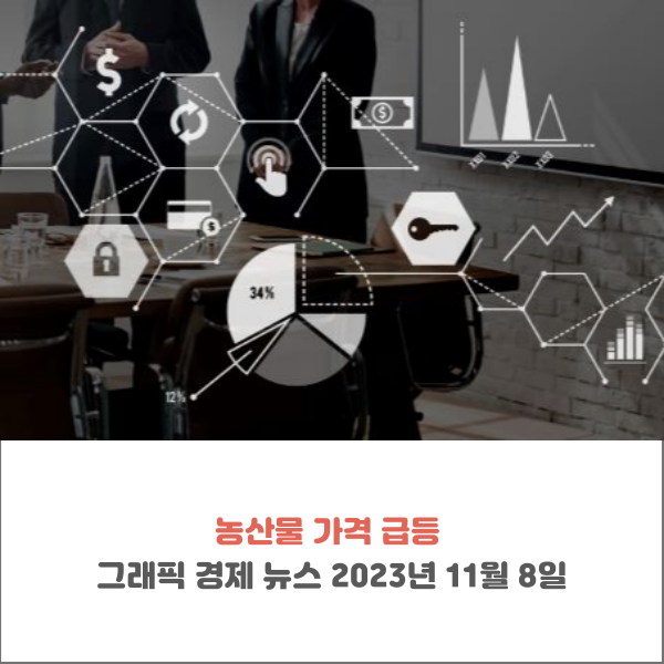  농산물 가격 급등 그래픽 경제 뉴스 2023년 11월 8일