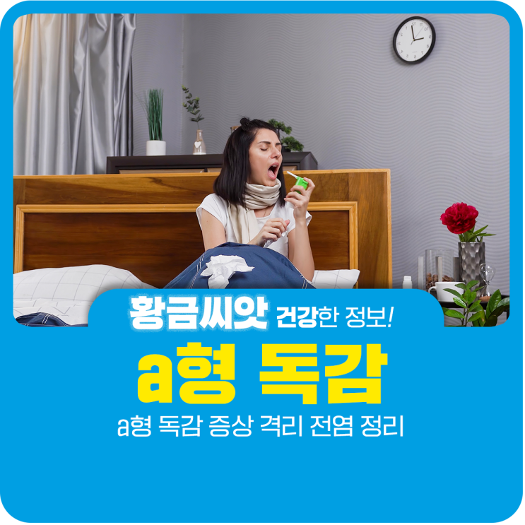  a형 독감 증상 격리 전염 정리