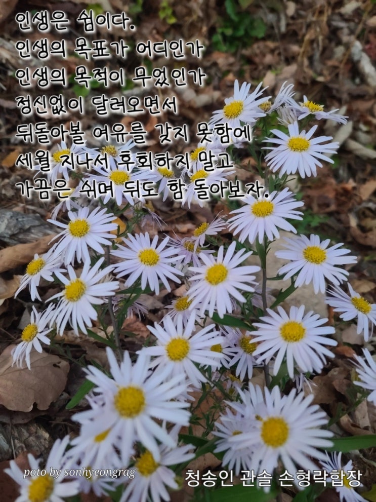 23/11/08 <b>입동</b>/인생은 쉼이다.