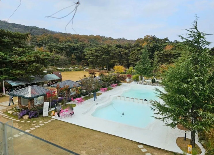  구미 베이커리 카페 모에누 잔디속의 힐링 애견 동반 가능 대형카페