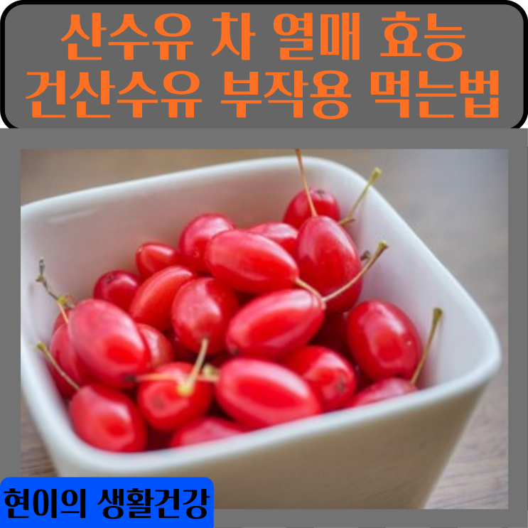  산수유 차 산수유 열매 효능 말린 산수유 건산수유 부작용 먹는법