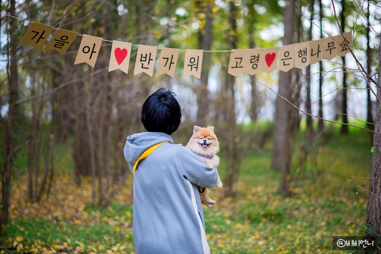 잠시 쉬었다 갑니다
