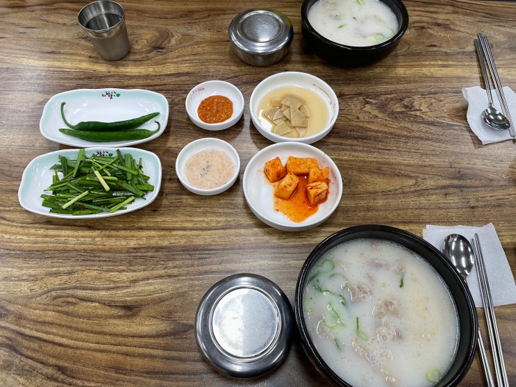 관평동 더 참맛 수육국밥 대전 국밥맛집 상위 티어