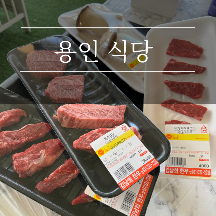  용인 애견동반식당 김남희한우 가성비 좋은 고기집