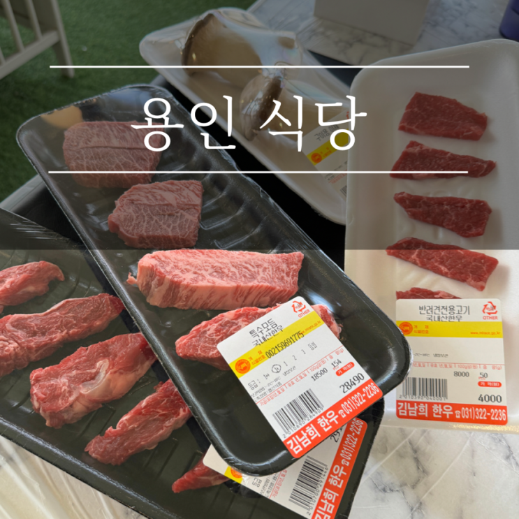 용인 애견동반식당 김남희한우 가성비 좋은 고기집