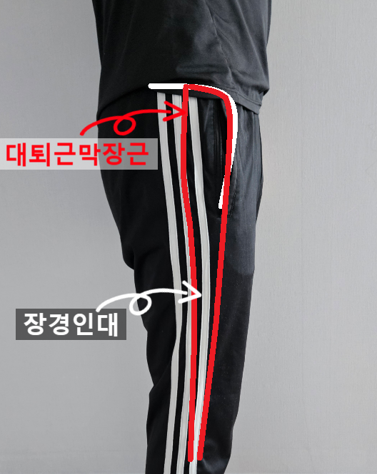  장시간 걷거나 오래 서있는 경우 무릎 통증이 발생한다면 꼭 풀어주어야 할 근육 마사지 방법[대퇴근막장근 (넙다리근막긴장근),장경인대(엉덩정강띠)]