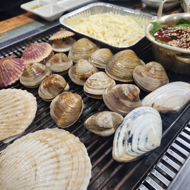  인천 영흥도 맛집 영흥도 회센터 조개구이 추천 가성비 좋은 서비스 많이 주는 한국수산 조개구이