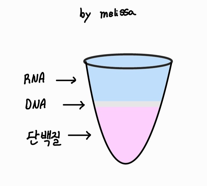 [분자생물학 실험] RNA Isolation