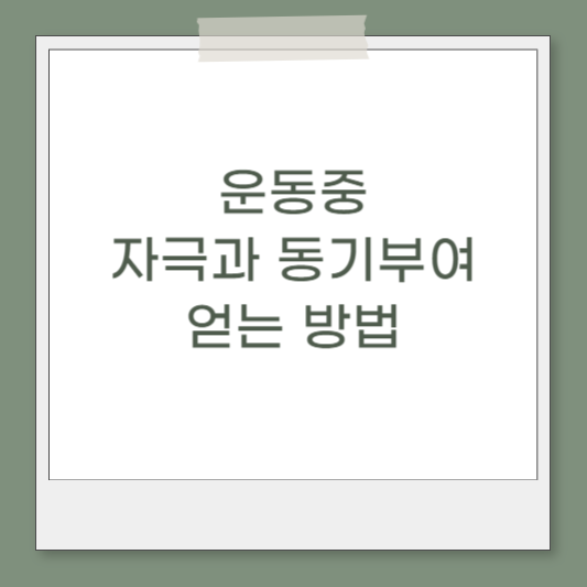 포항건강랜드의 삶 정보 운동 중 자극과 동기부여 얻는 방법