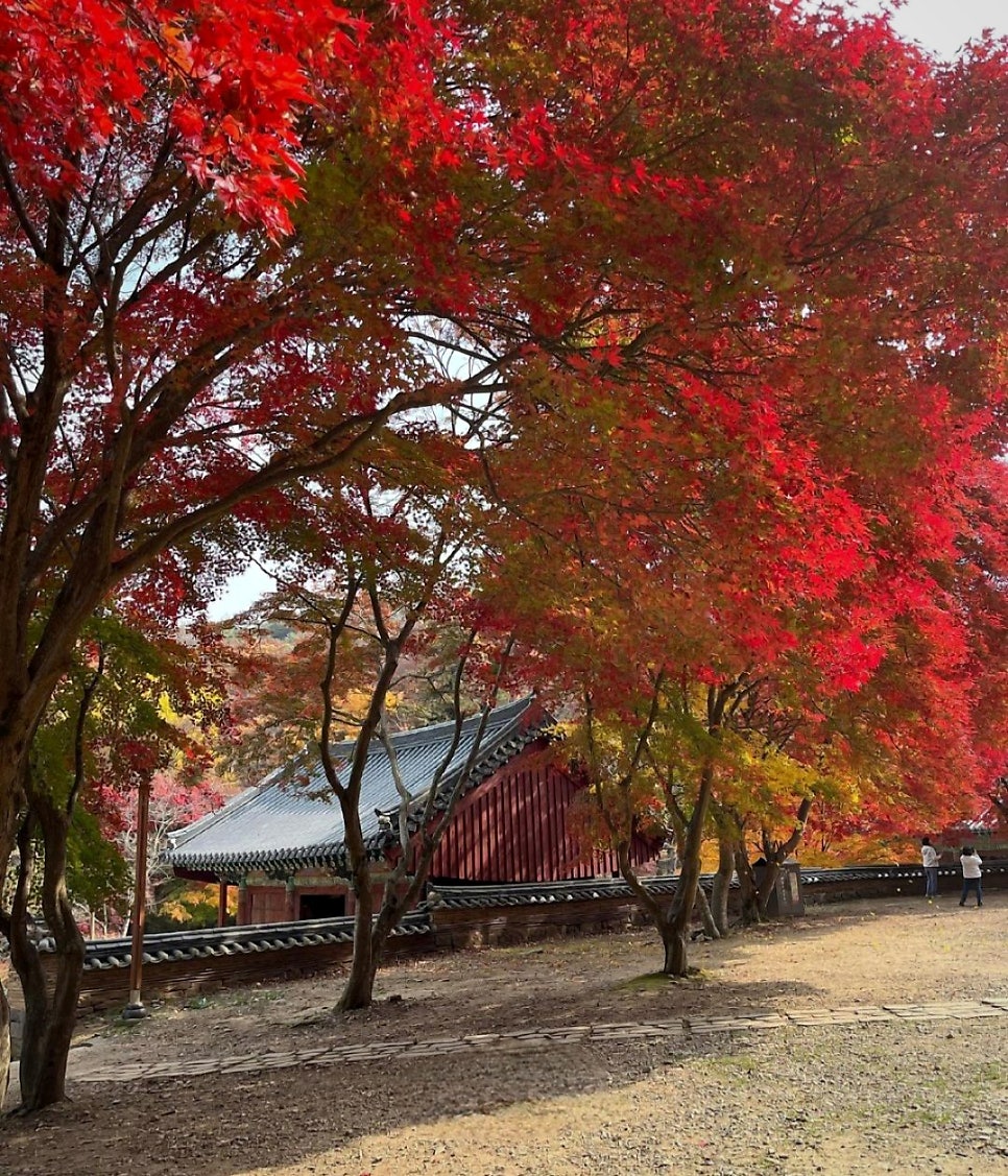 미식정순두부 마곡사점 사진 2