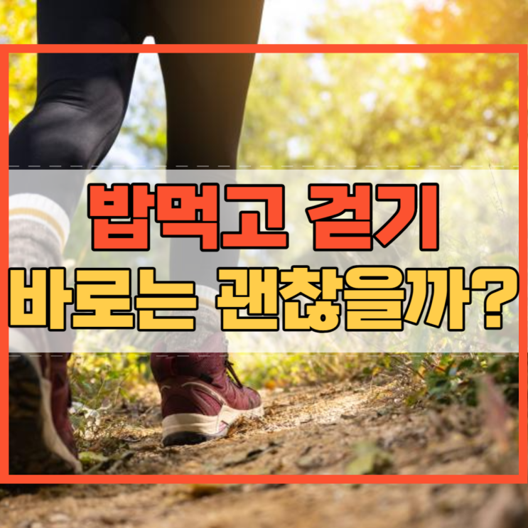  밥먹고 걷기 바로 걷기가 안 좋다던데?