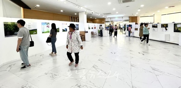  보성아트홀 2024년 상반기 기획 전시 참여작가 모집