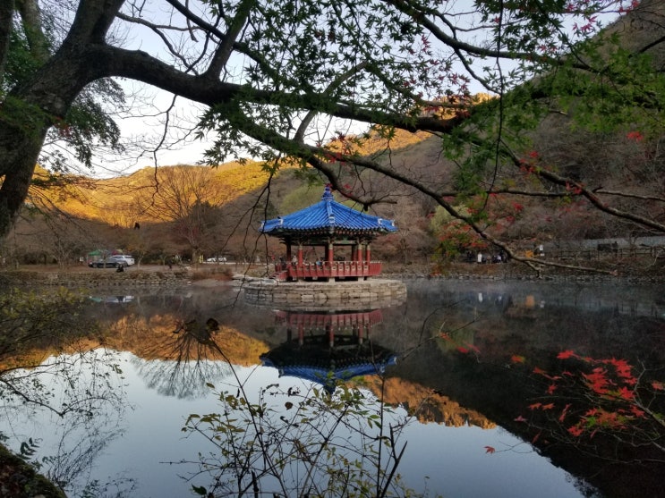 내장산 단풍 (서래봉 코스~) 내장산 단풍 (서래봉 코스~)