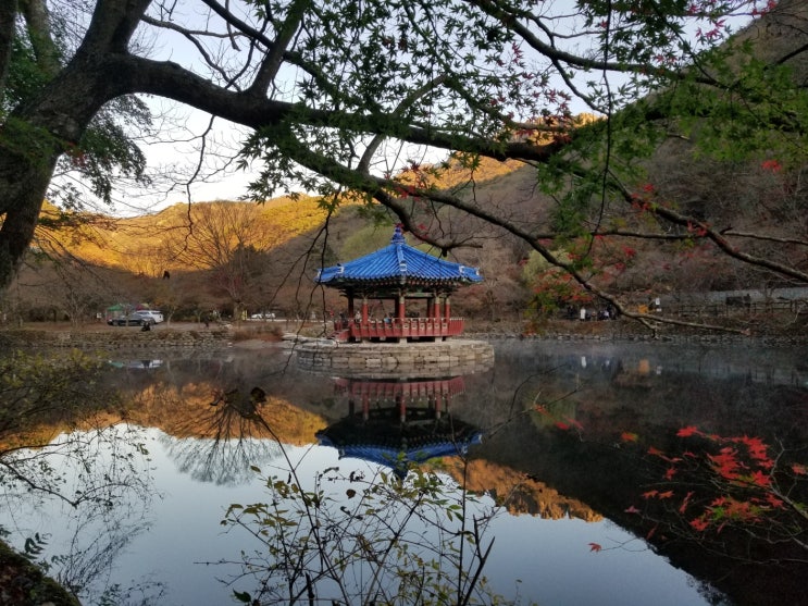 내장산 단풍 (서래봉 코스~)