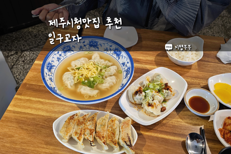  제주시청맛집 추천 일구교자 속이 꽉 찬 제주수제만두 맛집